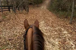 8423 Covert Dr, Aiken, SC 29803 - Photo 51