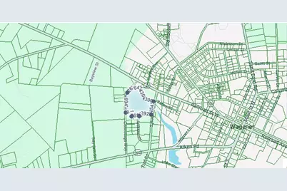 0 S Busbee South Drive, Wagener, SC 29164 - Photo 5