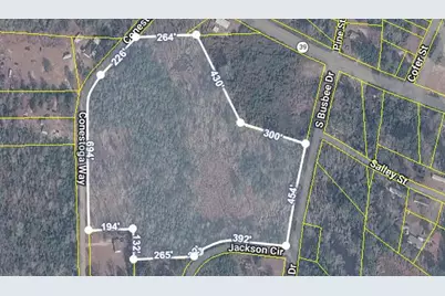 0 S Busbee South Drive, Wagener, SC 29164 - Photo 1
