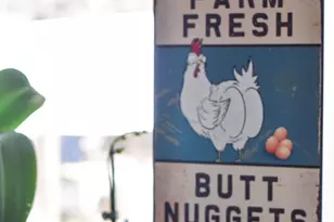 5605 Wagener Rd, Salley, SC 29137 - Photo 43