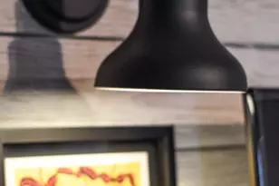 5605 Wagener Rd, Salley, SC 29137 - Photo 23