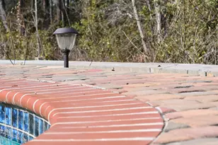 5605 Wagener Rd, Salley, SC 29137 - Photo 5