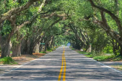 4777 Hartshorn Circle, Aiken, SC 29801 - Photo 57
