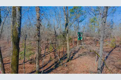 7942 Wagener Road, Salley, SC 29137 - Photo 23