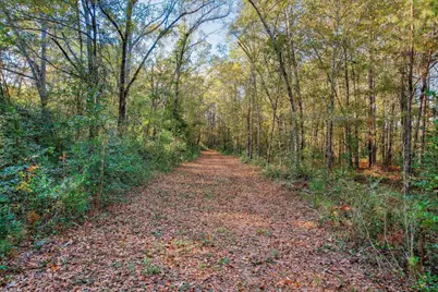 0000 Wrights Mill Road #Tract D, Aiken, SC 29801 - Photo 3