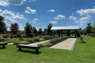 133 Sweet Gum Ln, Aiken, SC 29803 - Photo 65