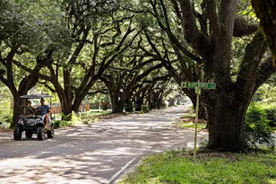 133 Sweet Gum Ln, Aiken, SC 29803 - Photo 67