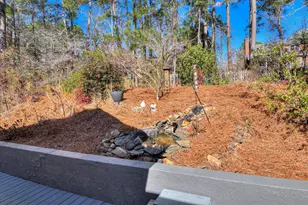 133 Sweet Gum Ln, Aiken, SC 29803 - Photo 53
