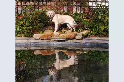 589 Pintail Drive, Aiken, SC 29803 - Photo 91