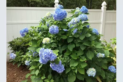 589 Pintail Drive, Aiken, SC 29803 - Photo 85