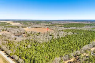 1080 Fox Young Rd, Wagener, SC 29164 - Photo 49