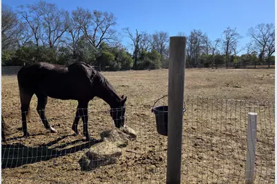 1080 Fox Young Road, Wagener, SC 29164 - Photo 63