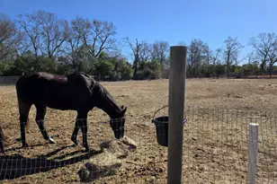 1080 Fox Young Rd, Wagener, SC 29164 - Photo 63