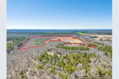 1080 Fox Young Road, Wagener, SC 29164 - Photo 61