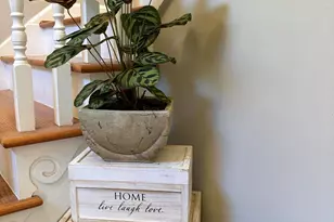 1753 Silver Bluff Road SW, Aiken, SC 29803 - Photo 5