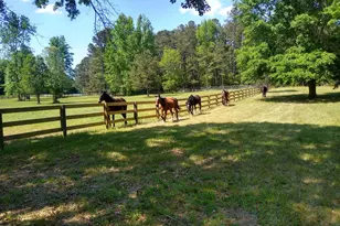 1753 Silver Bluff Road SW, Aiken, SC 29803 - Photo 37