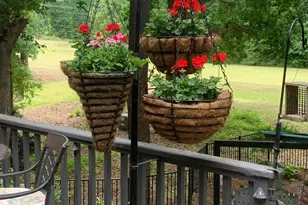 401 Northwood Dr, Aiken, SC 29803 - Photo 41