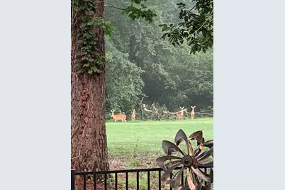 401 Northwood Drive, Aiken, SC 29803 - Photo 43