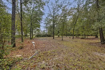 152 Frisco Lane, Neeses, SC 29107 - Photo 25