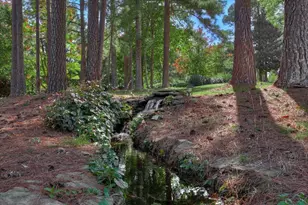 306 Forest Pines Rd, Aiken, SC 29803 - Photo 47