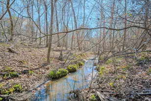 30 Tillman Ct, North Augusta, SC 29860 - Photo 51