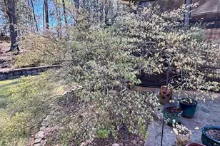 149 Glen Haven Circle Circle, Aiken, SC 29803 - Photo 25