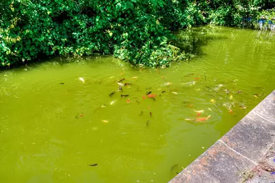 3075 Charleston Highway, Aiken, SC 29801 - Photo 49