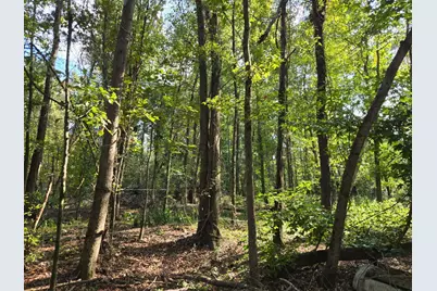 A Caprice Lane, Beech Island, SC 29842 - Photo 1