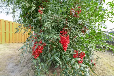 3215 Colonial Drive, Aiken, SC 29801 - Photo 29