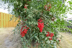 3215 Colonial Dr, Aiken, SC 29801 - Photo 29