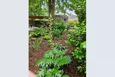 3039 Tarleton Court, Beech Island, SC 29842 - Photo 65