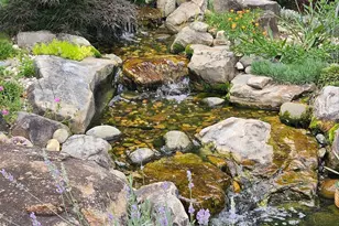 3039 Tarleton Ct, Beech Island, SC 29842 - Photo 65