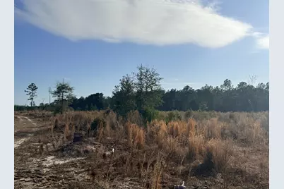 0 Festival Trail Road, Salley, SC 29137 - Photo 3