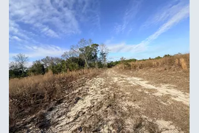 0 Festival Trail Road, Salley, SC 29137 - Photo 5