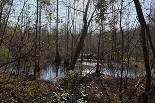 Tbd 7 5 Ac Atomic Rd, Beech Island, SC 29842 - Photo 1