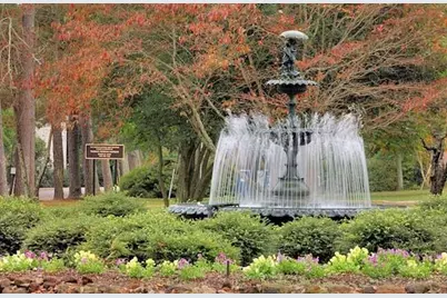 283 Balbriggan Place, Aiken, SC 29801 - Photo 25