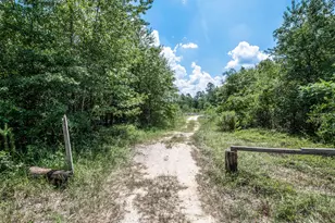 4091 Shimmer Lake Ln, North Augusta, SC 29841 - Photo 13