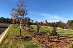 252 Devereux Dr, Aiken, SC 29803 - Photo 31