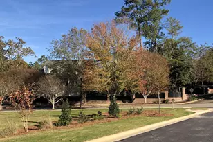 263 Devereux Dr, Aiken, SC 29803 - Photo 33