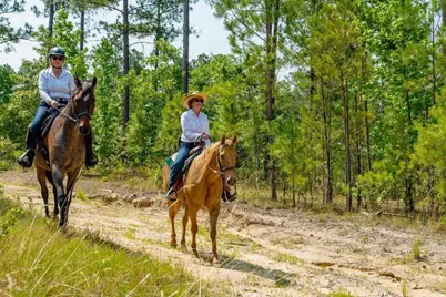 00 Barley Field Court, Aiken, SC 29803 - Photo 5