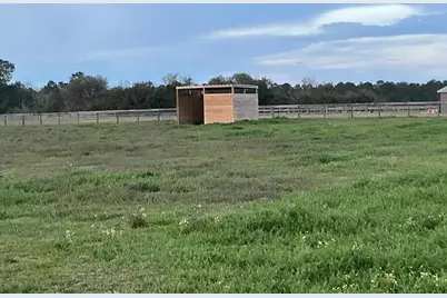 1929 New Holland Road, Wagener, SC 29164 - Photo 7