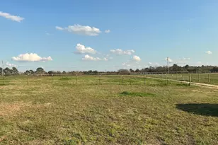 1929 New Holland Rd, Wagener, SC 29164 - Photo 3