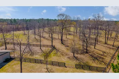 411 Bluffwood Road, Wagener, SC 29164 - Photo 19