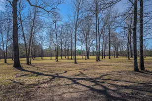 411 Bluffwood Rd, Wagener, SC 29164 - Photo 17