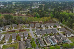 250 Thacher Loop, Elgin, SC 29045 - Photo 71