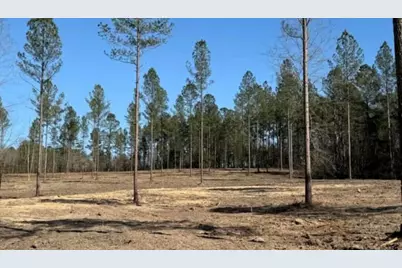 Tbd Wrights Mill Road, Aiken, SC 29801 - Photo 5