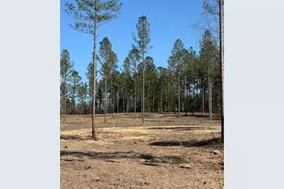 Tbd Wrights Mill Road, Aiken, SC 29801 - Photo 3