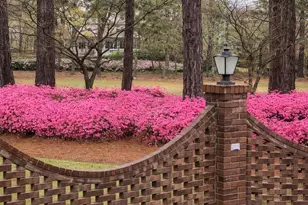 913 Holley Lake Rd, Aiken, SC 29803 - Photo 19