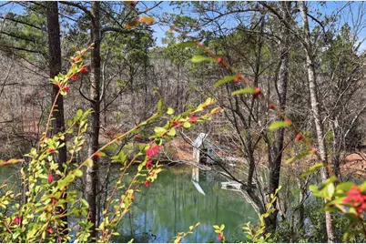 1501 Wire Road, Aiken, SC 29805 - Photo 25