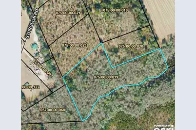 00 Sturgeon Road, Barnwell, SC 29812 - Photo 1